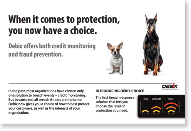 Debix direct mail